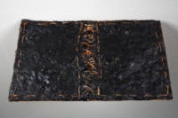 Bound, Encaustic and Found Object on Thai Bird's Nest Paper, 2009