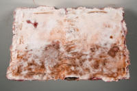 Earthen Mysteries, Encaustic and Found Object on Thai Bird's Nest Paper, 2009