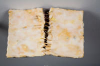 Revealed, Encaustic and Found Objects on Thai Bird's Nest Paper, 2008