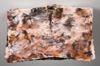 Unearthed, Encaustic and Found Object on Thai Bird's Nest Paper, 2009